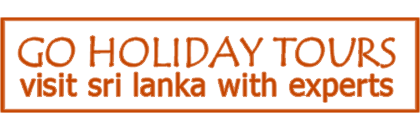 logo-image